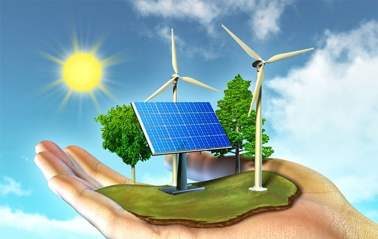 Ngành năng lượng sạch đã “rơi xuống đáy”, Dalmore, BNP và BMO chuyển sang “tăng giá”